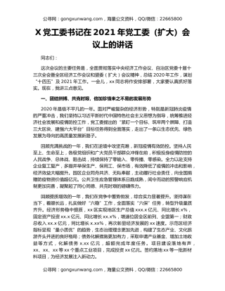 X党工委书记在2021年党工委（扩大）会议上的讲话
