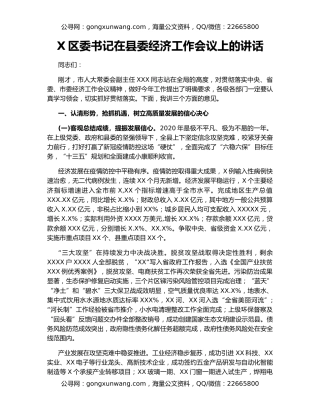 X区委书记在县委经济工作会议上的讲话