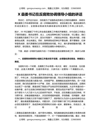 X县委书记在反腐败协调领导小组的讲话