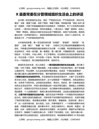 X县委常委在分管领域组织生活会上的讲话