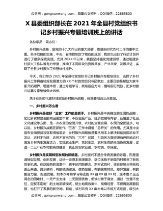 X县委组织部长在2021年全县村党组织书记乡村振兴专题培训班上的讲话