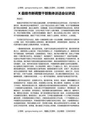 X县级市新调整干部集体谈话会议讲话