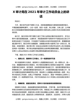 X审计局在2021年审计工作动员会上的讲话