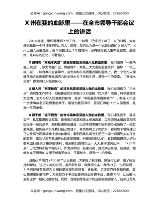 X州在我的血脉里——在全市领导干部会议上的讲话
