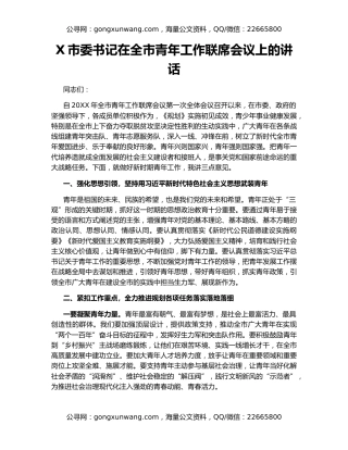 X市委书记在全市青年工作联席会议上的讲话
