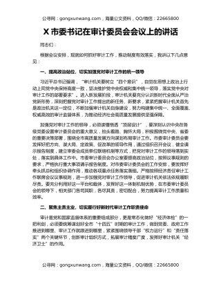 X市委书记在审计委员会会议上的讲话