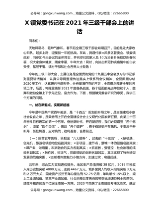 X镇党委书记在2021年三级干部会上的讲话