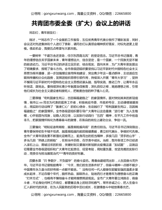 共青团市委全委（扩大）会议上的讲话