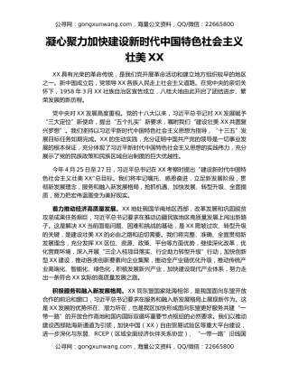 凝心聚力加快建设新时代中国特色社会主义壮美XX