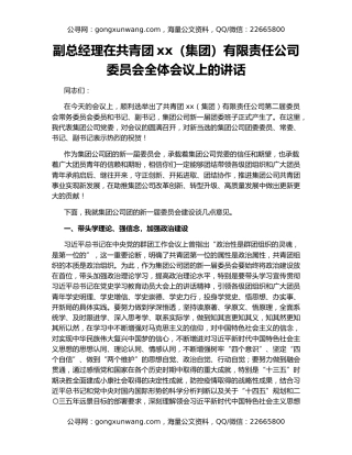 副总经理在共青团xx（集团）有限责任公司委员会全体会议上的讲话