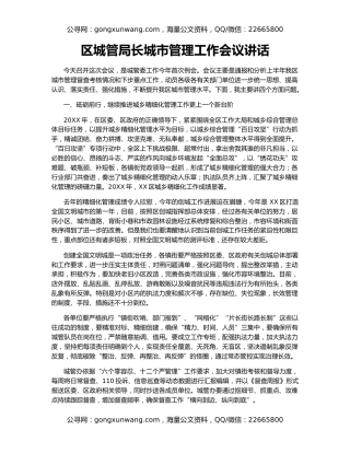 区城管局长城市管理工作会议讲话