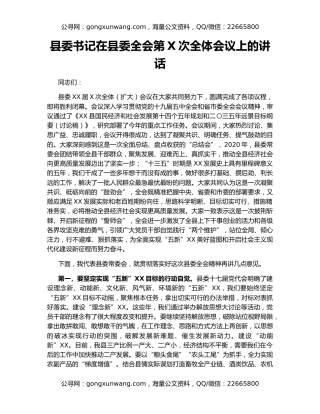 县委书记在县委全会第X次全体会议上的讲话