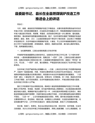 县委副书记、县长在全县燃煤锅炉改造工作推进会上的讲话