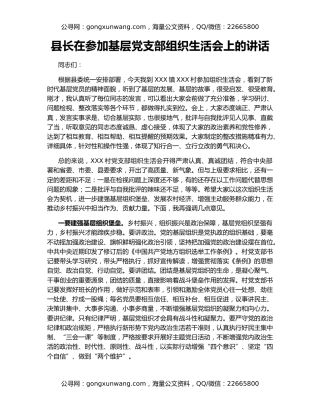 县长在参加基层党支部组织生活会上的讲话
