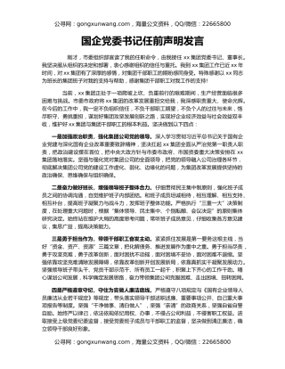国企党委书记任前声明发言