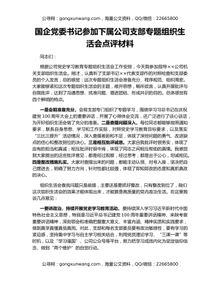 国企党委书记参加下属公司支部专题组织生活会点评材料