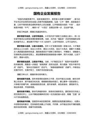 国有企业发展报告