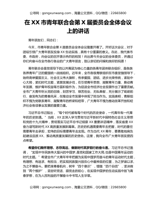 在XX市青年联合会第X届委员会全体会议上的讲话