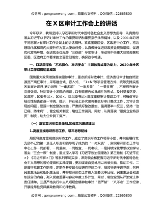 在X区审计工作会上的讲话