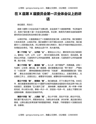 在X县第X届委员会第一次全体会议上的讲话