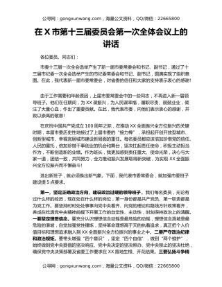 在X市第十三届委员会第一次全体会议上的讲话