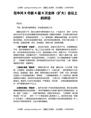 在中共X市委X届X次全体（扩大）会议上的讲话