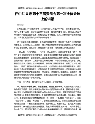 在中共X市第十三届委员会第一次全体会议上的讲话
