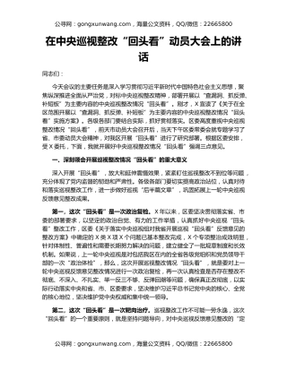 在中央巡视整改“回头看”动员大会上的讲话