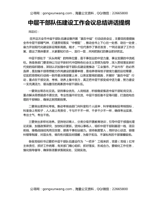 中层干部队伍建设工作会议总结讲话提纲