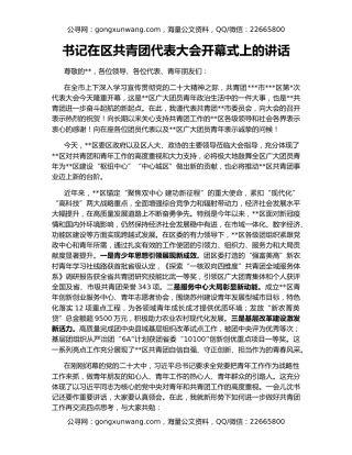 书记在区共青团代表大会开幕式上的讲话