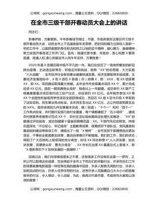 在全市三级干部开春动员大会上的讲话（2）