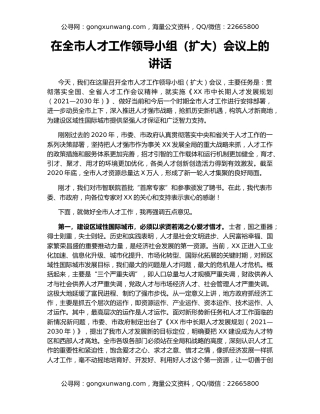 在全市人才工作领导小组（扩大）会议上的讲话