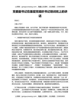 党委副书记在基层党组织书记培训班上的讲话
