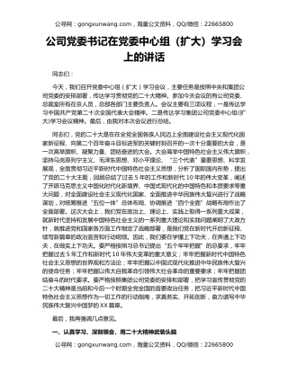 公司党委书记在党委中心组（扩大）学习会上的讲话