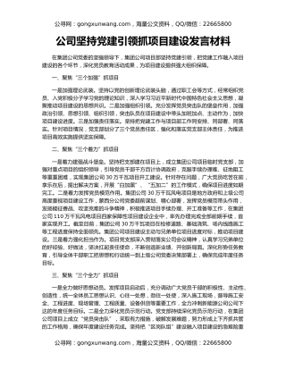 公司坚持党建引领抓项目建设发言材料
