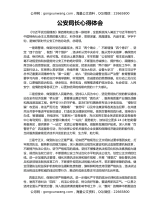 公安局长心得体会