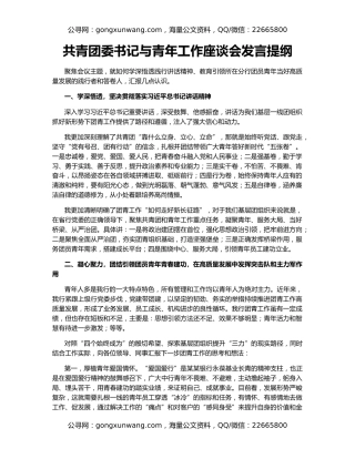 共青团委书记与青年工作座谈会发言提纲