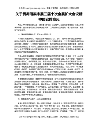 关于贯彻落实市委三届十次全委扩大会议精神的安排意见