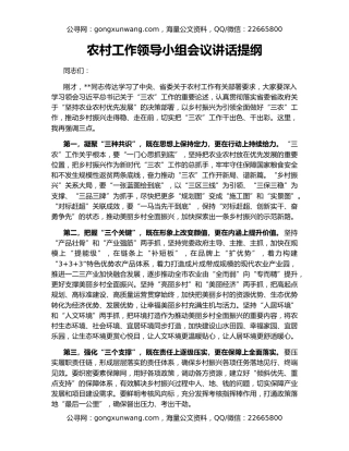 农村工作领导小组会议讲话提纲
