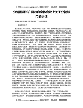 分管副县长在县政府全体会议上关于分管部门的讲话