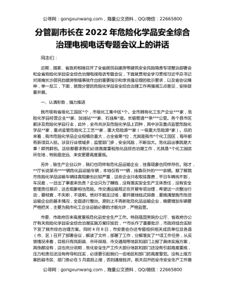 分管副市长在2022年危险化学品安全综合治理电视电话专题会议上的讲话