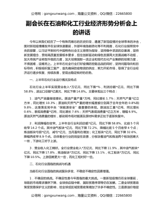 副会长在石油和化工行业经济形势分析会上的讲话