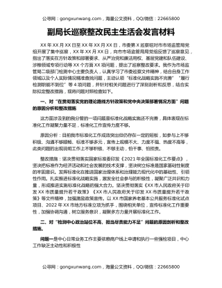 副局长巡察整改民主生活会发言材料