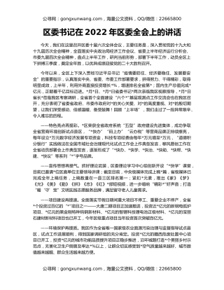 区委书记在2022年区委全会上的讲话