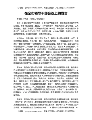 在全市领导干部会议上的发言