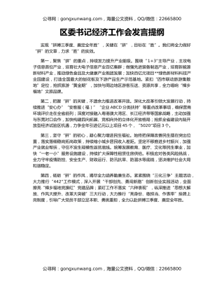 区委书记经济工作会发言提纲