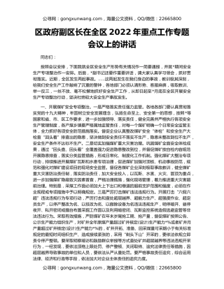 区政府副区长在全区2022年重点工作专题会议上的讲话