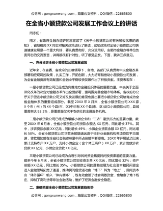 在全省小额贷款公司发展工作会议上的讲话