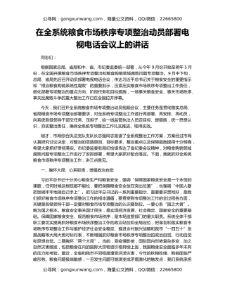 在全系统粮食市场秩序专项整治动员部署电视电话会议上的讲话