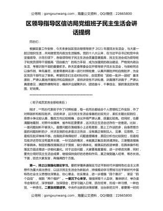 区领导指导区信访局党组班子民主生活会讲话提纲